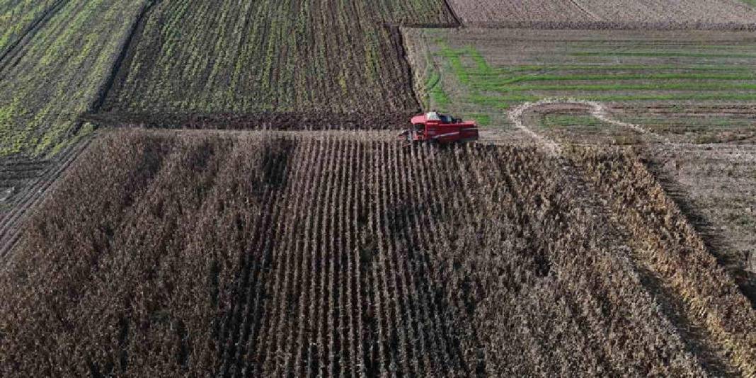 2025’in ilk hasadı başladı, kuraklık burayı da vurdu! Verimdeki düşüş, fiyatları da etkiledi 3
